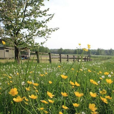 Agriturismo Cargandino Villa Mezzomerico Dış mekan fotoğraf