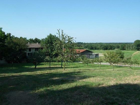 Agriturismo Cargandino Villa Mezzomerico Dış mekan fotoğraf