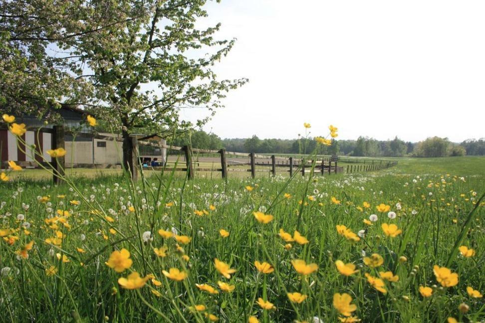 Agriturismo Cargandino Villa Mezzomerico Dış mekan fotoğraf