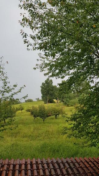 Agriturismo Cargandino Villa Mezzomerico Dış mekan fotoğraf